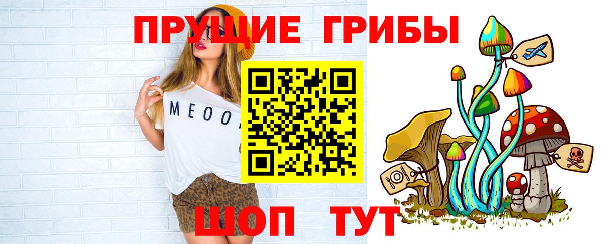 Псилоцибиновые грибы Psilocybine cubensis Ачинск