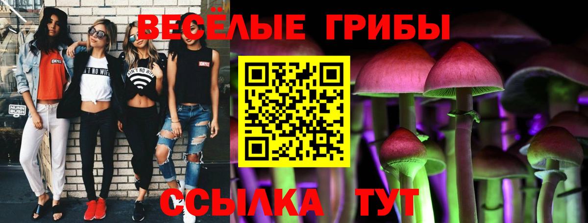 Галлюциногенные грибы прущие грибы  Вход с VPN  Ачинск 